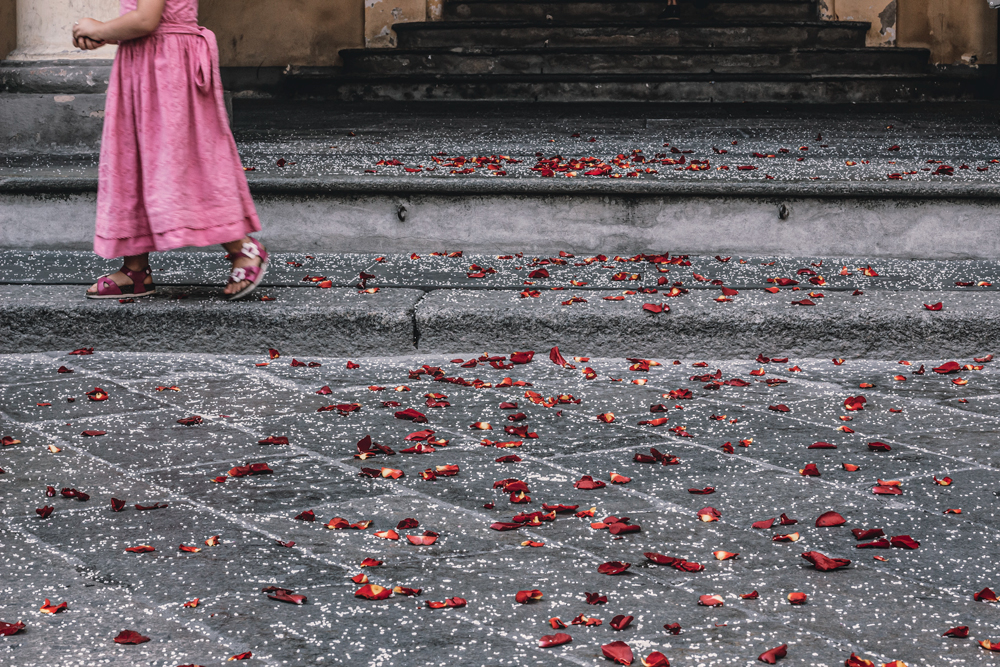 Little girl in pink dress, on staircase with red petals after wedding 