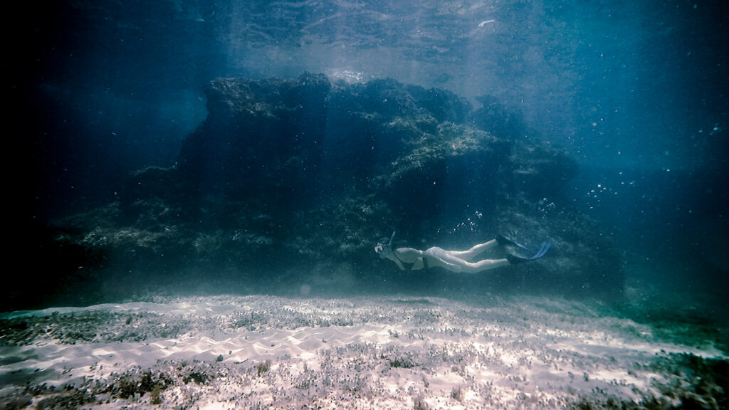 a woman diving on the sea backdrop