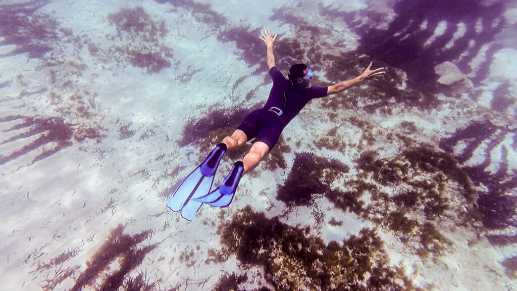 The diver floating on the water