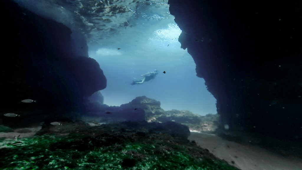 a woman diving among beautiful reefs