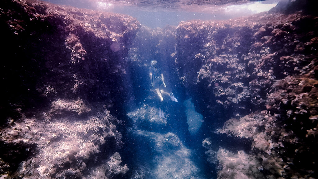 Emerging from the bottom along the rocky wall, beautiful reefs, underwater